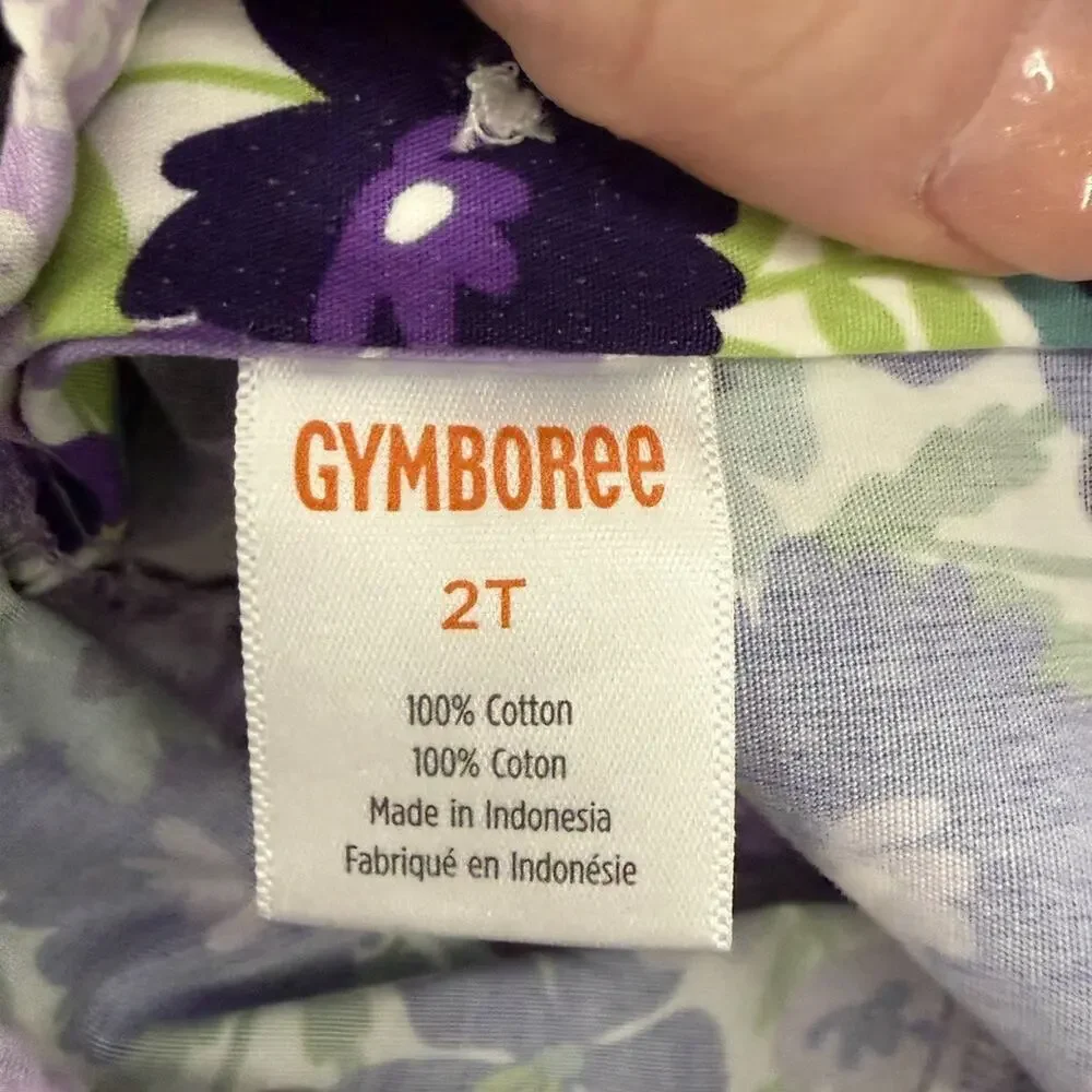 Gymboree size 2t